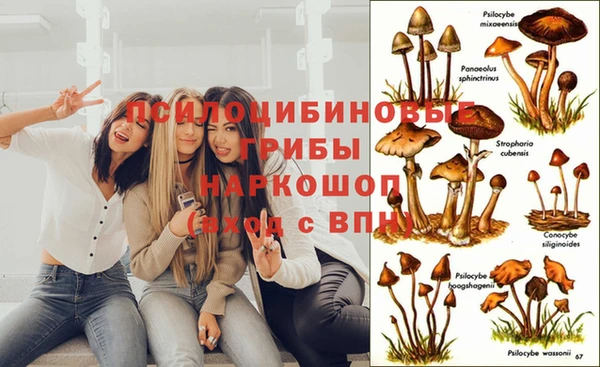прущая мука Богданович